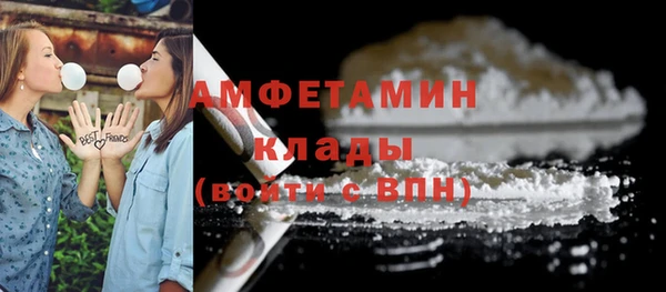 прущие грибы Навашино