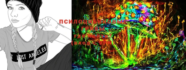 спиды Михайловск