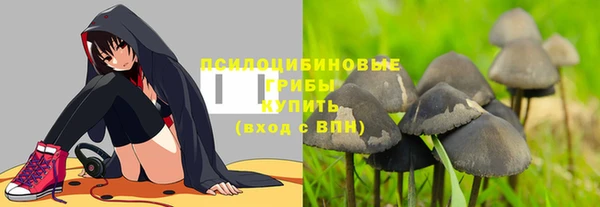 бошки Михайлов