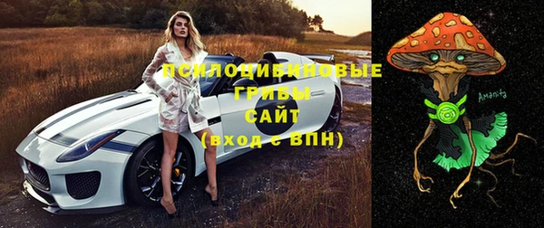 бошки Михайлов