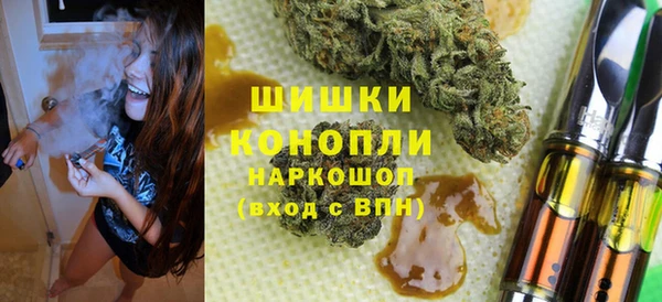 прущие грибы Навашино