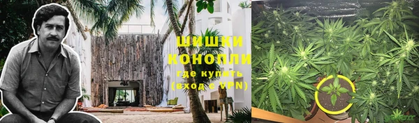 ГАЛЛЮЦИНОГЕННЫЕ ГРИБЫ Михайловка