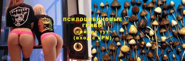 ГАЛЛЮЦИНОГЕННЫЕ ГРИБЫ Михайловка