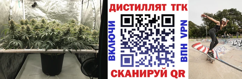где найти   Мышкин  Дистиллят ТГК THC oil 